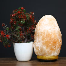 Load image into Gallery viewer, Salt Lamp - Natural Hand Carved Himalayan Orange Salt Lamp, 5-7 lbs
