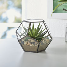 Load image into Gallery viewer, Geo Metal and Glass Terrarium, 6 in L x 6 in W x 5 in H
