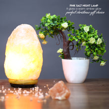 Load image into Gallery viewer, Salt Lamp - Natural Hand Carved Himalayan Orange Salt Lamp, 5-7 lbs
