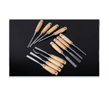 Load image into Gallery viewer, Wood Carving Chisel 12 Pieces Professional Sculpture Woodworking Crafting Tools
