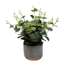 Load image into Gallery viewer, 15-inch Eucalyptus/Artificial Greenery in Marble Pot
