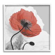 Load image into Gallery viewer, Industries Translucent Red Poppy Floral Modern Flower Photography, 24 x 24, Design by Albert Koetsier
